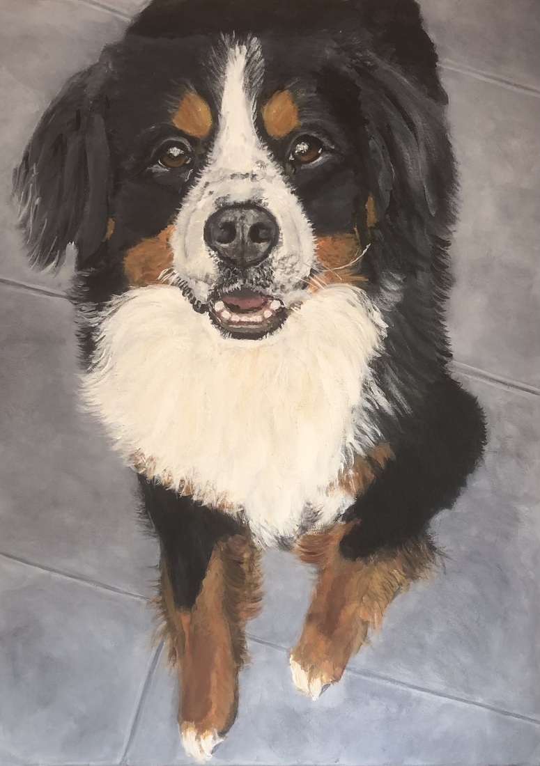Berner sennenhond Bikkel