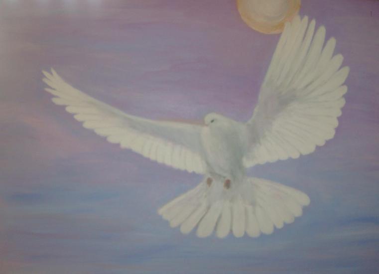 vredesduif