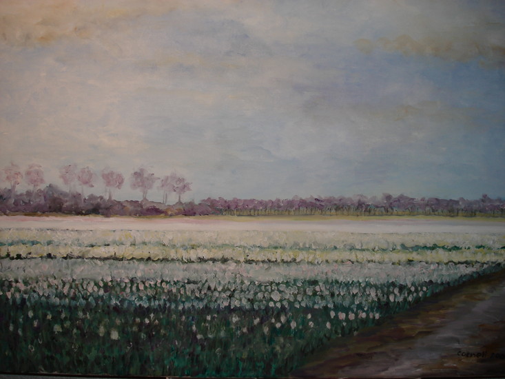 vroege morgen bij de keukenhof