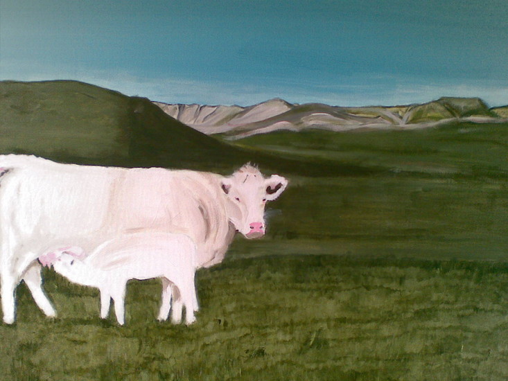 Aussie Cow