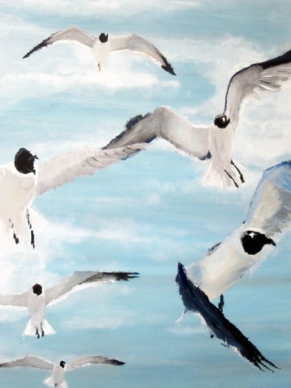 seaguls 2010