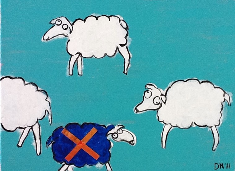 no blue sheep