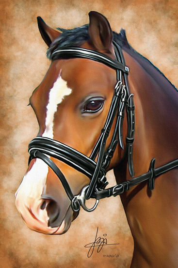 paardenhoofd met hoofdstel