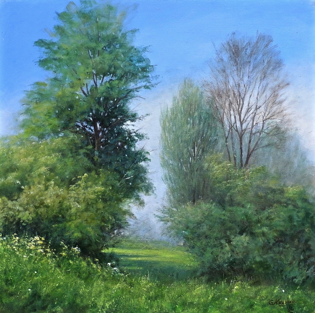 Summmerfields