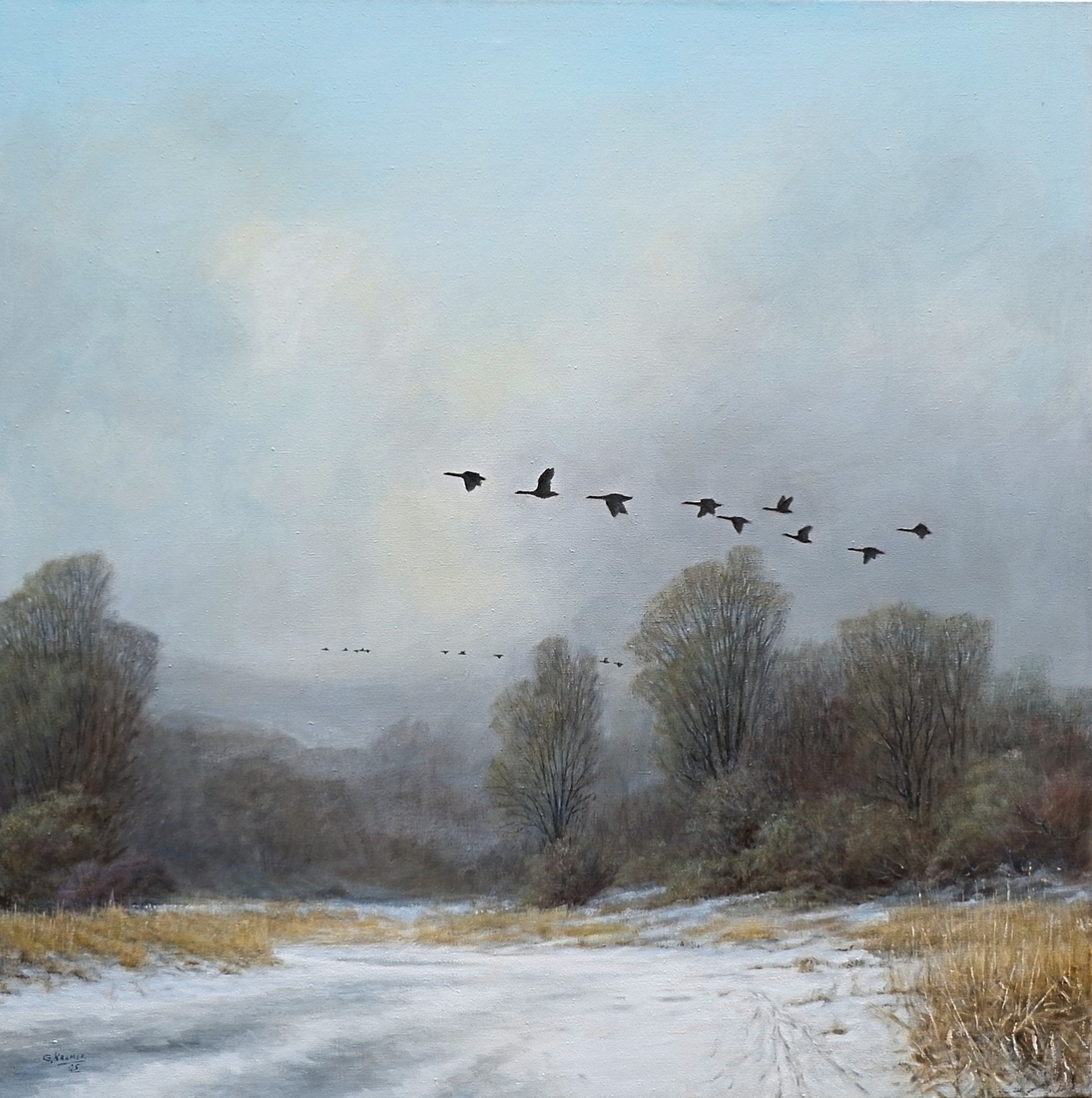 Geese on the run 
