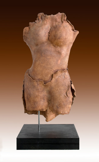 Vrouwen Torso