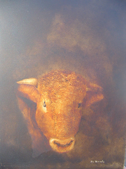 Stier