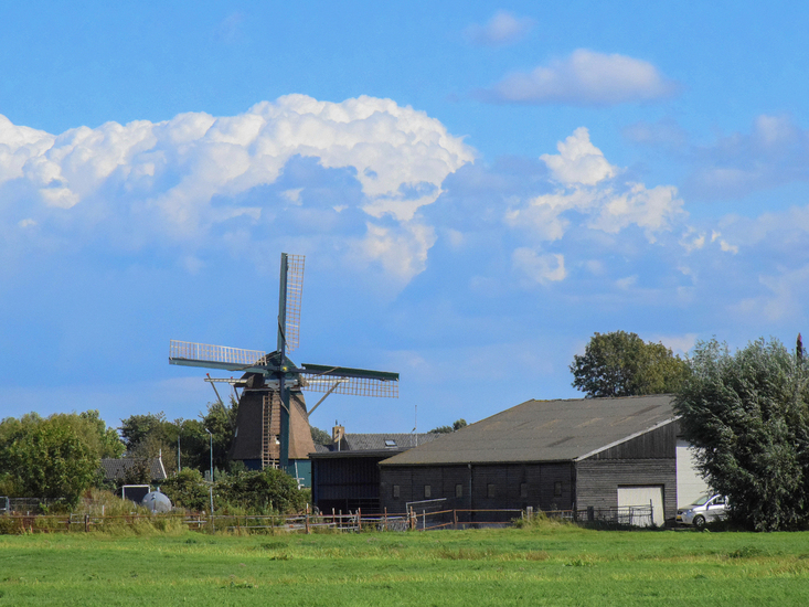 Molen poelpolder