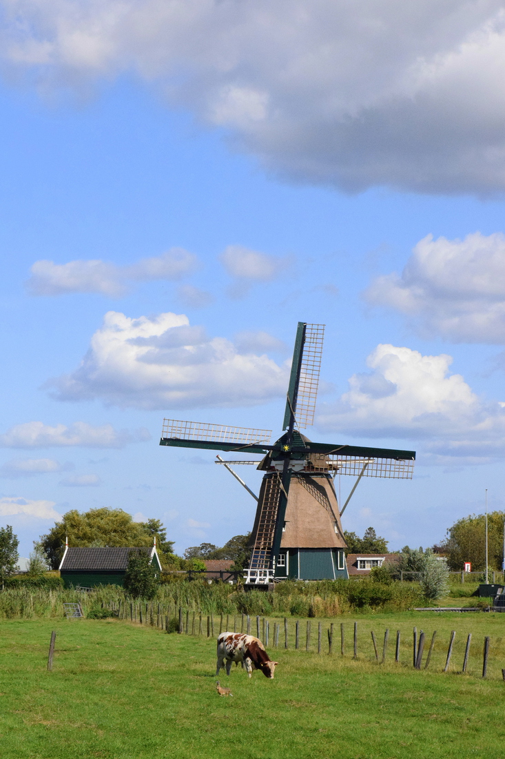 Molen Plaspoelpolder