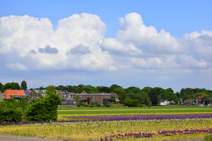 Foto's van de Noordelijke Randstad, met name rond Amsterdam en Haarlem, waarin wolkenluchten de boventoon voeren.