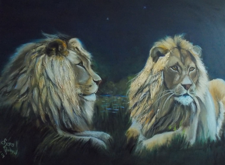 2 leeuwen in de nacht