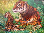 2002 tijger met 2 welpjes. olieverf.. formaat;50x70