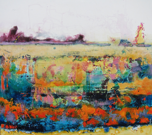 Oneindig landschap. Een impressie van het onbekende, ruimtelijk het niet wetende.
Schilderijen geschilderd expressief doch met zachtheid.
Materiaal mixed media acryl,olieverf, inkten en structuur ondergronden.
De Ambachtelijk spieramen zijn gemaakt door Lijstenmaker Jan Gerritsen Apeldoorn.