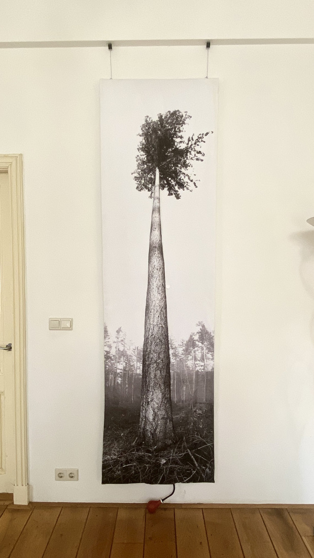 Alleenstaand | DEN