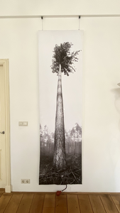 Deze serie geurkunst heeft als thema 'mens in de natuur'. Human nature zou je kunnen zeggen. De serie gaat in op het verlangen van het in de natuur zijn, de betekenis daarvan en wat het ons brengt.