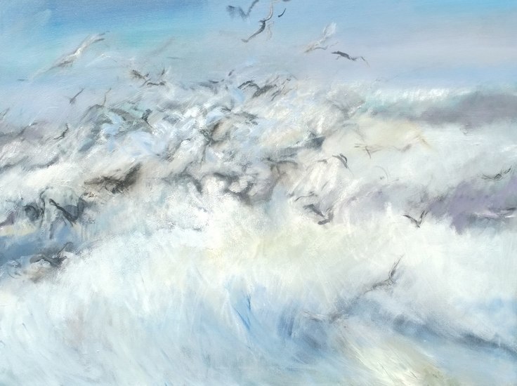 opvliegende meeuwen 2