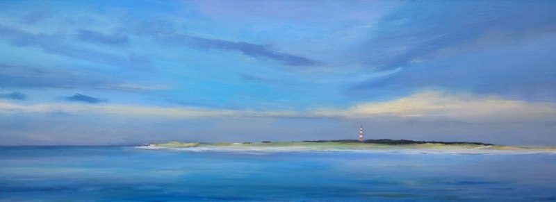 zicht op ameland vanaf de robbenbank