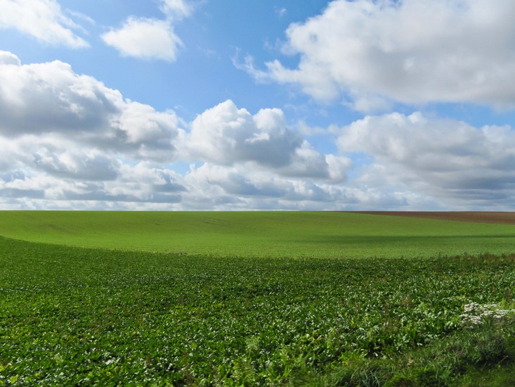 Snellandschap Frankrijk 6