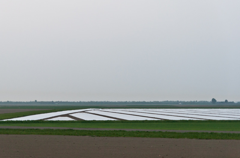 Landschap Heense Molen 4
