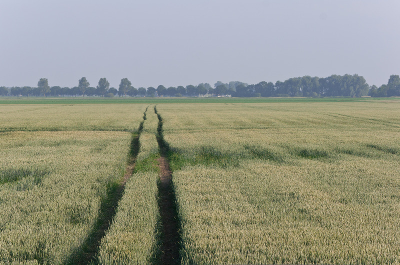 Landschap Heense Molen 5