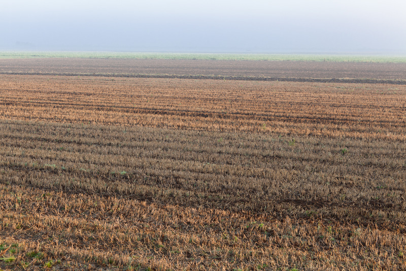 Landschap Heense Molen 7