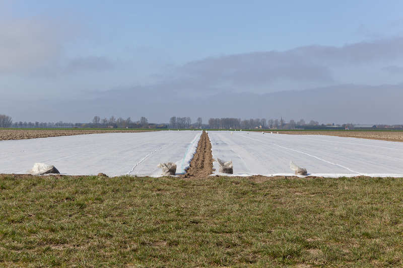 Landschap Heense Molen 10