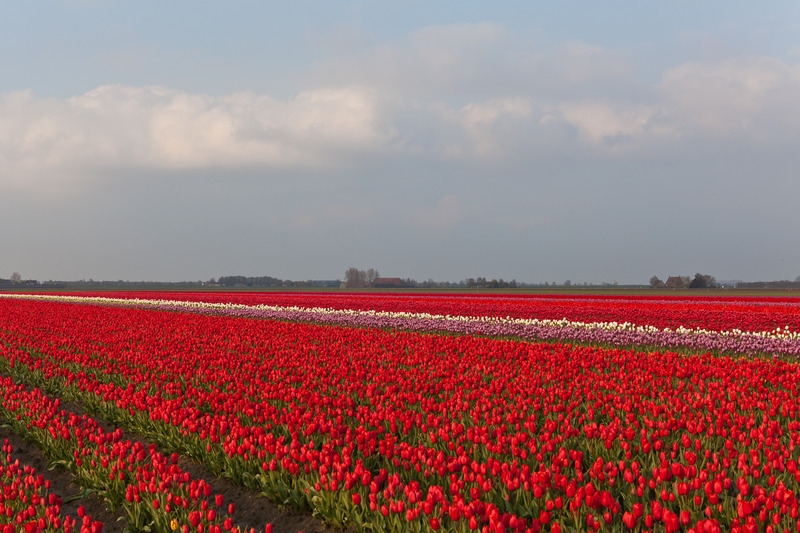 Landschap Heense Molen 13