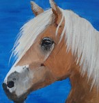 Diverse schilderijen van dieren, abstract of figuratief. Acrylverf op doek. gesigneerd.