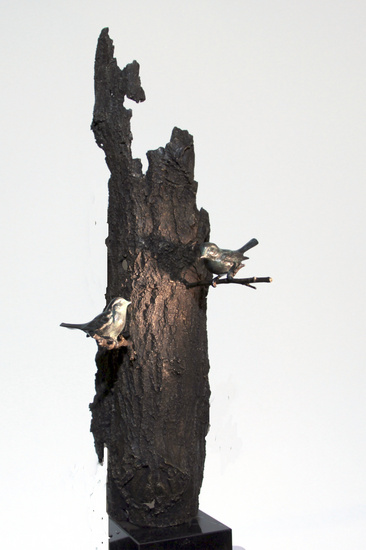 Vogels op houtschors