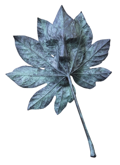 natuurlijk gezicht 2