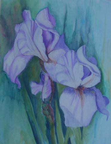 Blauwe iris