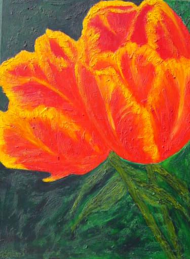 Tulpen