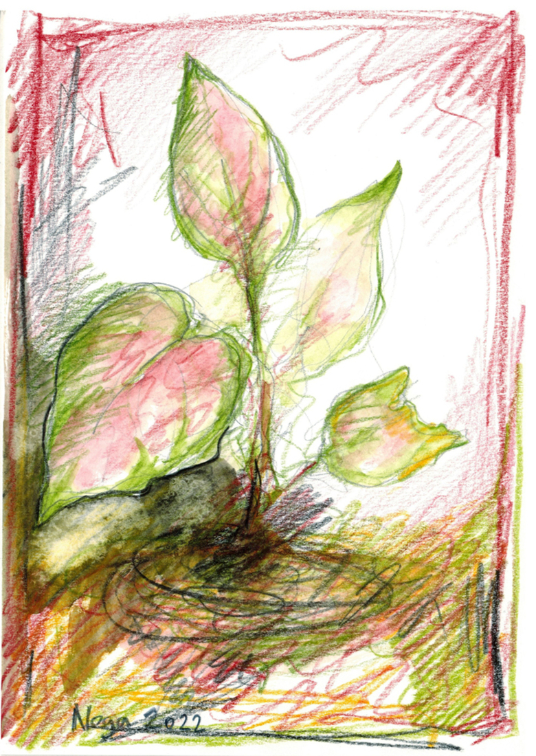 Plant 03