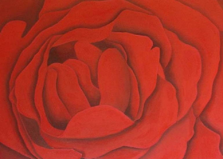uitgebloeide rode roos 60 x 80