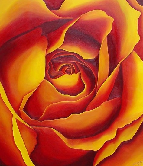 rood-gele roos 100 x 115