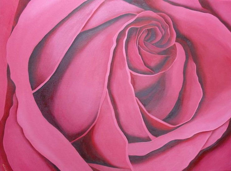 rose roos 120 x 90