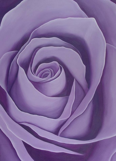 paarse roos 90 x 135