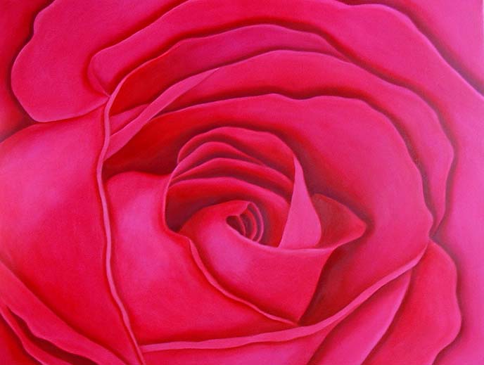 pink rose 90 x 70