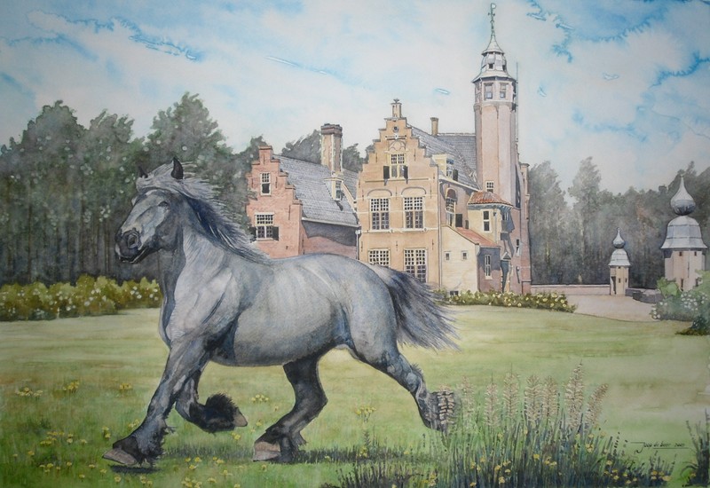 Zeeland - Moermond - Engels Shire paard op landgoed