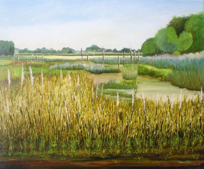 Hilvarenbeek Natuurgebied Diessens Broek  