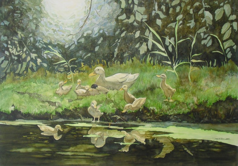 Eenden aan het water