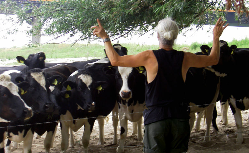 Kunstenaar in Beeld 1