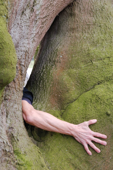 Kunstenaar in Beeld 13