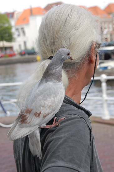 Kunstenaar in Beeld 21