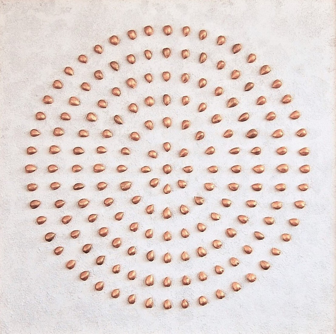 Object 27 - Golden circle of almonds