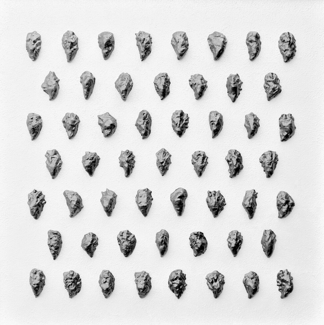 Schilderij Minimalisme Wandobject 16 - Black Oysters