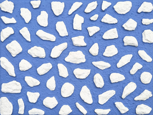 Mijn passie is het maken van minimalistische wandobjecten waarin ik vaak vondsten uit de natuur verwerk, zoals boomschors, noten , zaden, zaaddozen, oesterschelpen, scheermessen, mosselen, etc:. Maar ik gebruik ook natuurlijke materialen zoals, vilt, hout en papier . Op aanvraag zend ik u per email een overzicht van mijn complete collectie met extra foto's van details, inlijsting, etc: