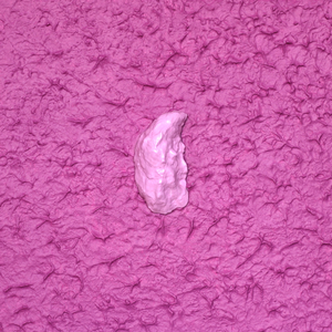 Mijn passie is het maken van minimalistische schilderijen en wandobjecten waarin ik vaak vondsten uit de natuur verwerk, zoals boomschors, noten , zaden, zaaddozen, oesterschelpen, scheermessen, mosselen, etc:. Maar ik gebruik ook natuurlijke materialen zoals, vilt, hout en papier . Op aanvraag zend ik u per email een overzicht van mijn complete collectie met extra foto's van details, inlijsting, etc: