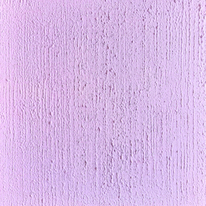 Mijn passie is het maken van minimalistische schilderijen en wandobjecten waarin ik vaak vondsten uit de natuur verwerk, zoals boomschors, noten , zaden, zaaddozen, oesterschelpen, scheermessen, mosselen, etc:. Maar ik gebruik ook natuurlijke materialen zoals, vilt, hout en papier . Op aanvraag zend ik u per email een overzicht van mijn complete collectie met extra foto's van details, inlijsting, etc: