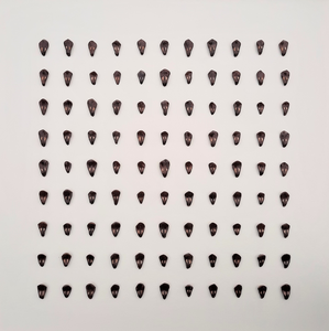 Mijn passie is het maken van minimalistische schilderijen en wandobjecten waarin ik vaak vondsten uit de natuur verwerk, zoals boomschors, noten , zaden, zaaddozen, oesterschelpen, scheermessen, mosselen, etc:. Maar ik gebruik ook natuurlijke materialen zoals, vilt, hout en papier . Op aanvraag zend ik u per email een overzicht van mijn complete collectie met extra foto's van details, inlijsting, etc: